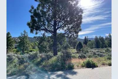 556 Longhorn Drive, Loyalton, CA 96118 - Photo 2