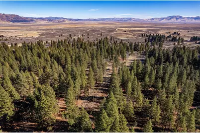 3000 22N03, Beckwourth, CA 96129 - Photo 20