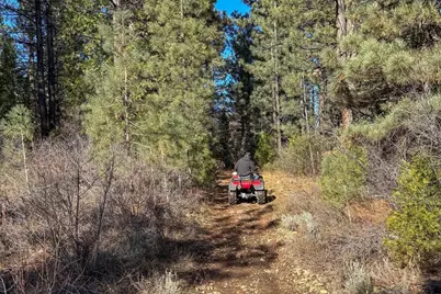 3000 22N03, Beckwourth, CA 96129 - Photo 12