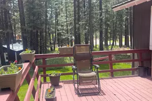 302 Mountain View Rd, Calpine, CA 96124 - Photo 6