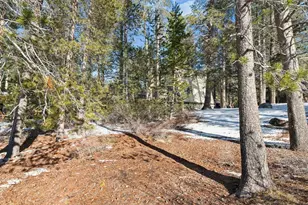 11849 Deerfield Dr, Truckee, CA 96161 - Photo 24