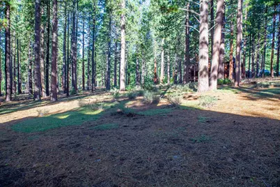 11561 Bottcher Loop, Truckee, CA 96161 - Photo 12