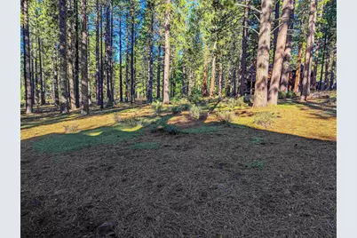 11561 Bottcher Loop, Truckee, CA 96161 - Photo 6