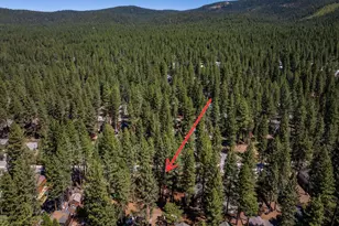 441 Bear St, Kings Beach, CA 96143 - Photo 26