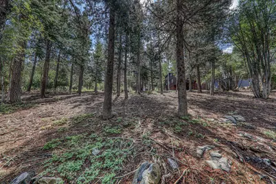 13854 Northwoods Boulevard, Truckee, CA 96161 - Photo 10