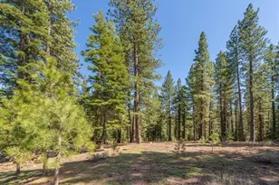 12721 Granite Dr, Truckee, CA 96161 - Photo 1