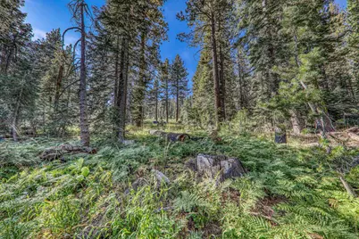 51207 Jeffery Pine Drive, Soda Springs, CA 95728 - Photo 8