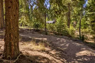 10534 Actinolite Way, Truckee, CA 96161 - Photo 28
