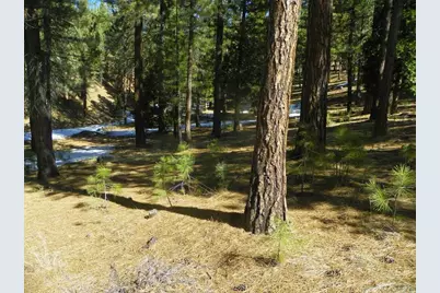 462 Grizzly Ranch Road, Portola, CA 96122 - Photo 8