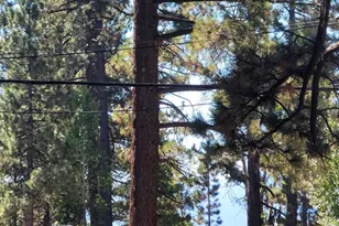 8075 Rainbow Ave, Kings Beach, CA 96143 - Photo 10