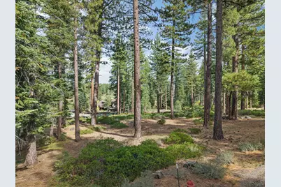 11317 Elle Ellen, Truckee, CA 96161 - Photo 2
