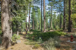 11317 Elle Ellen, Truckee, CA 96161 - Photo 1