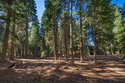 11888 Chamonix Road, Truckee, CA 96161 - Photo 10