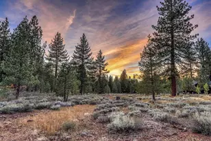 8444 Jake Teeter, Truckee, CA 96161 - Photo 26