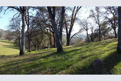 23021 Darkhorse Drive, Auburn, CA 95602 - Photo 14