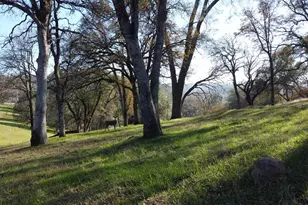 23021 Darkhorse Dr, Auburn, CA 95602 - Photo 14