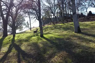 23021 Darkhorse Dr, Auburn, CA 95602 - Photo 2