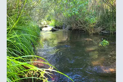 598 Longhorn Drive, Loyalton, CA 96118 - Photo 2