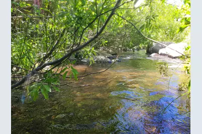 598 Longhorn Drive, Loyalton, CA 96118 - Photo 12