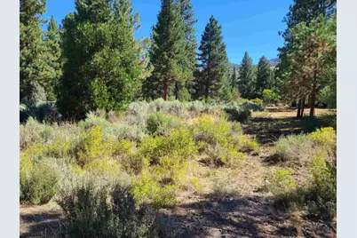 598 Longhorn Drive, Loyalton, CA 96118 - Photo 1