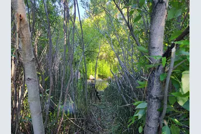 598 Longhorn Drive, Loyalton, CA 96118 - Photo 16