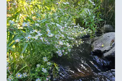 598 Longhorn Drive, Loyalton, CA 96118 - Photo 20