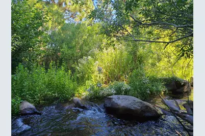 598 Longhorn Drive, Loyalton, CA 96118 - Photo 14