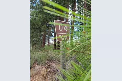 598 Longhorn Drive, Loyalton, CA 96118 - Photo 8