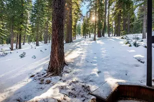 711 Conifer, Truckee, CA 96161 - Photo 4