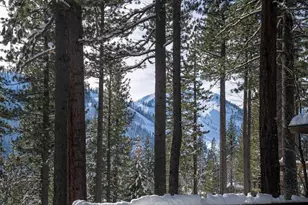 1499 Sandy Way, Olympic Valley, CA 96146 - Photo 8