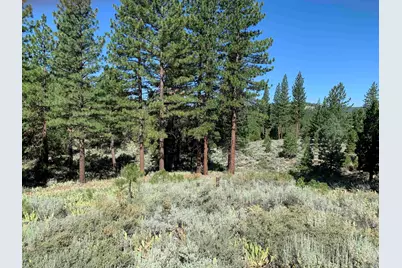 24 Starflower Drive, Portola, CA 96122 - Photo 2