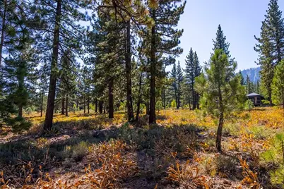 720 John McKinney, Truckee, CA 96161 - Photo 8