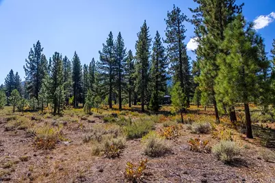 720 John McKinney, Truckee, CA 96161 - Photo 4