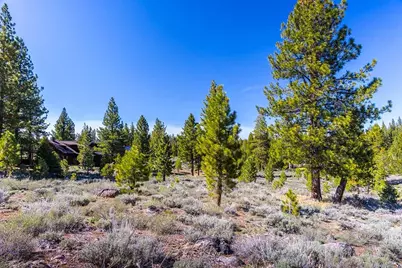 735 John McKinney, Truckee, CA 96161 - Photo 8