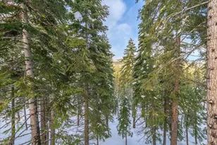 13846 Pathway Ave, Truckee, CA 96161 - Photo 10