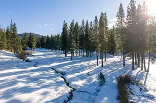 367 Skidder Trail, Truckee, CA 96161 - Photo 18