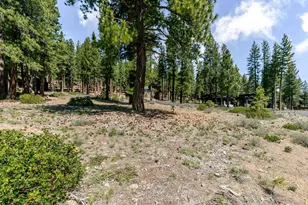 11420 Ghirard Rd, Truckee, CA 96161 - Photo 14