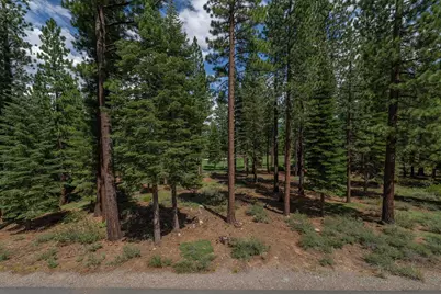 12227 Pete Alvertson Drive, Truckee, CA 96161 - Photo 10