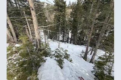 1416 Mineral Spring Trail, Alpine Meadows, CA 96146 - Photo 12