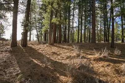 15627 Sudsbury Circle, Truckee, CA 96161 - Photo 22