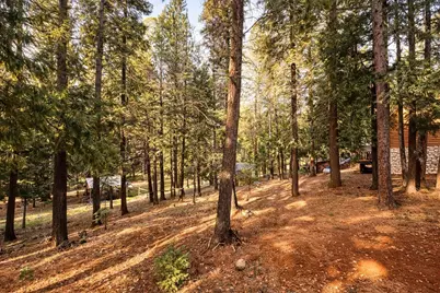 2117 Blackridge Trail, Quincy, CA 95971 - Photo 18