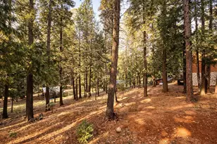 2117 Blackridge Trail, Quincy, CA 95971 - Photo 18