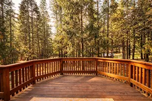 2117 Blackridge Trail, Quincy, CA 95971 - Photo 12