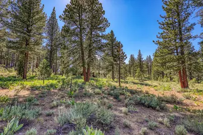 7455 Lahontan Drive, Truckee, CA 96161 - Photo 4