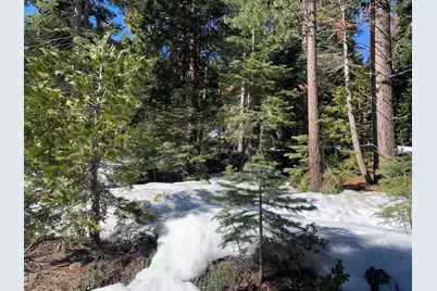 890 Bunker Road, Tahoe City, CA 96145 - Photo 2