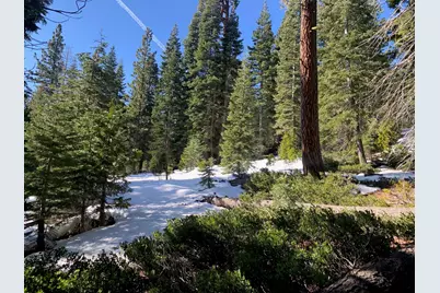 890 Bunker Road, Tahoe City, CA 96145 - Photo 1