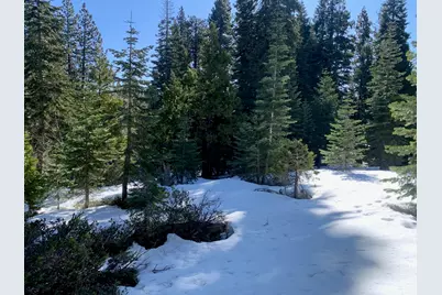 890 Bunker Road, Tahoe City, CA 96145 - Photo 12