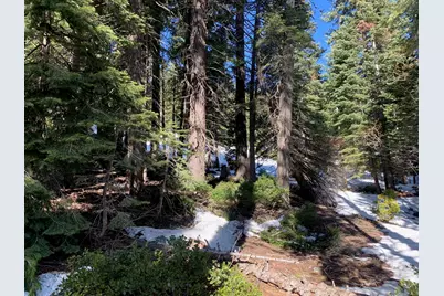 890 Bunker Road, Tahoe City, CA 96145 - Photo 8