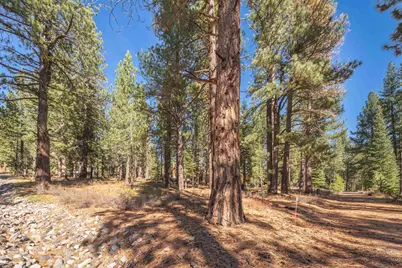 11925 Saddleback Drive, Truckee, CA 96161 - Photo 18