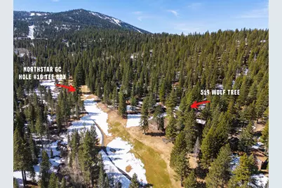 519 Wolf Tree, Truckee, CA 96161 - Photo 14